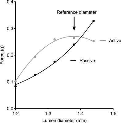 Mechanical Abnormalities of the Airway Wall in Adult Mice After Intrauterine Growth Restriction